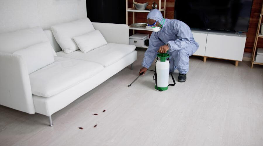 Why choose Jenks Termite Inspection for termite inspection in Jenks